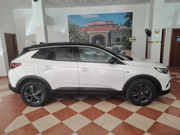 Comprar OPEL GRANLAND X